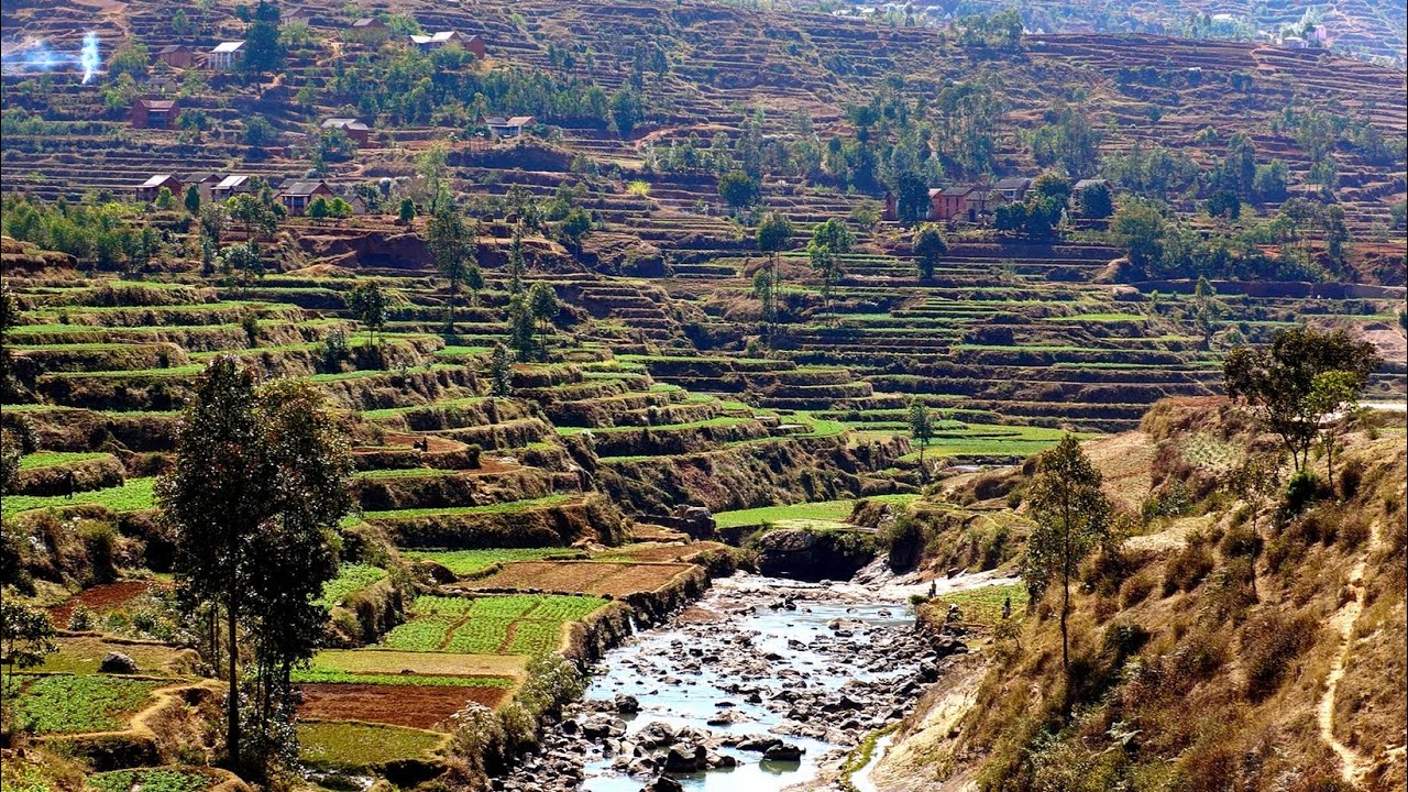 037 Madagascar, d'Antsirabe à Antananarivo, Paysages des hautes terres