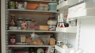 Рикардо милос в холодильнике Геннадия Горина