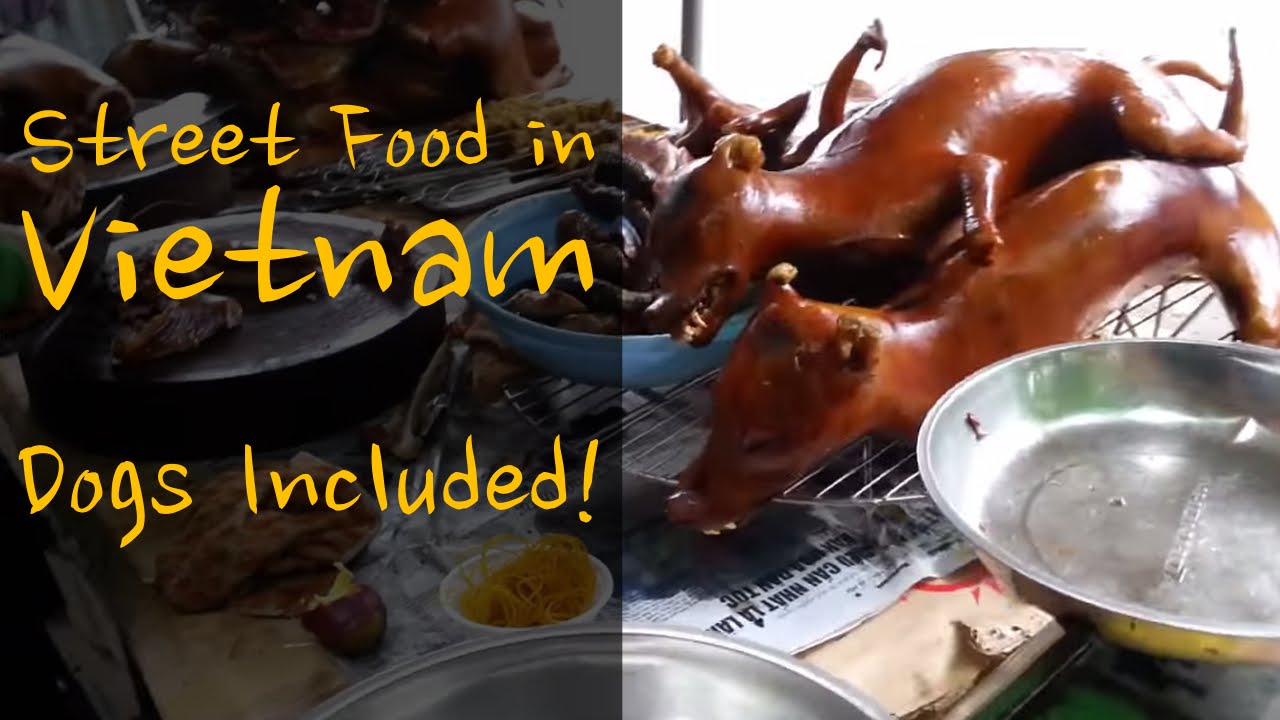 Street Food in Vietnam, Dogs included! (in English) YouTube