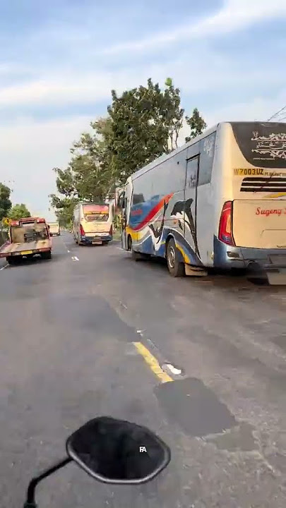 story' wa bus Sugeng Rahayu