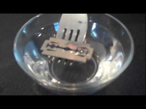 Surface Tension Experiment Examples