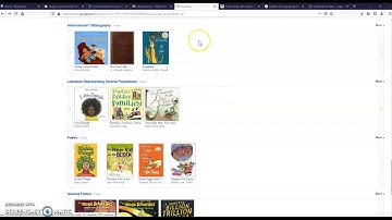 Virtual Library Reflection - Morgan Akins