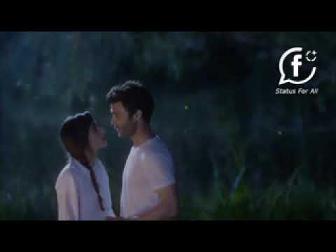 الحب زي الوتر نانسي