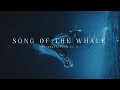 Symphonic poem no 2 song of the whale  elijah siegler