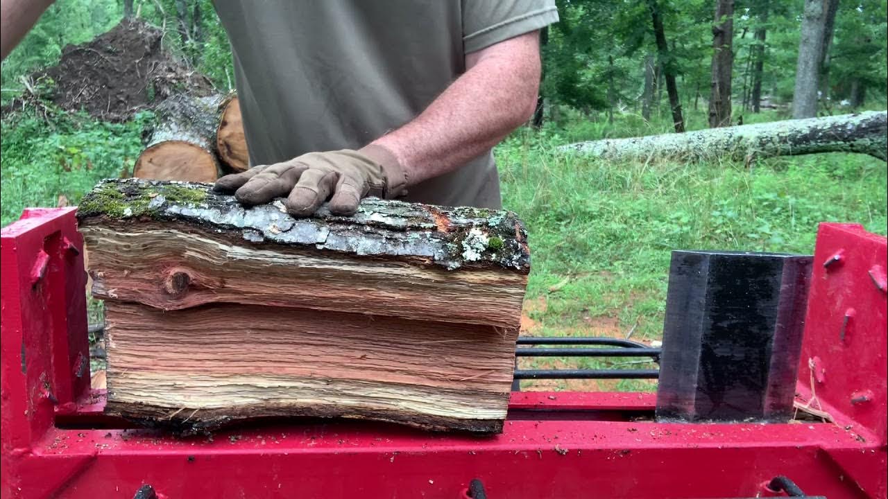 Harbor Freight PREDATOR 20 Ton 212cc Log Splitter Making Firewood After