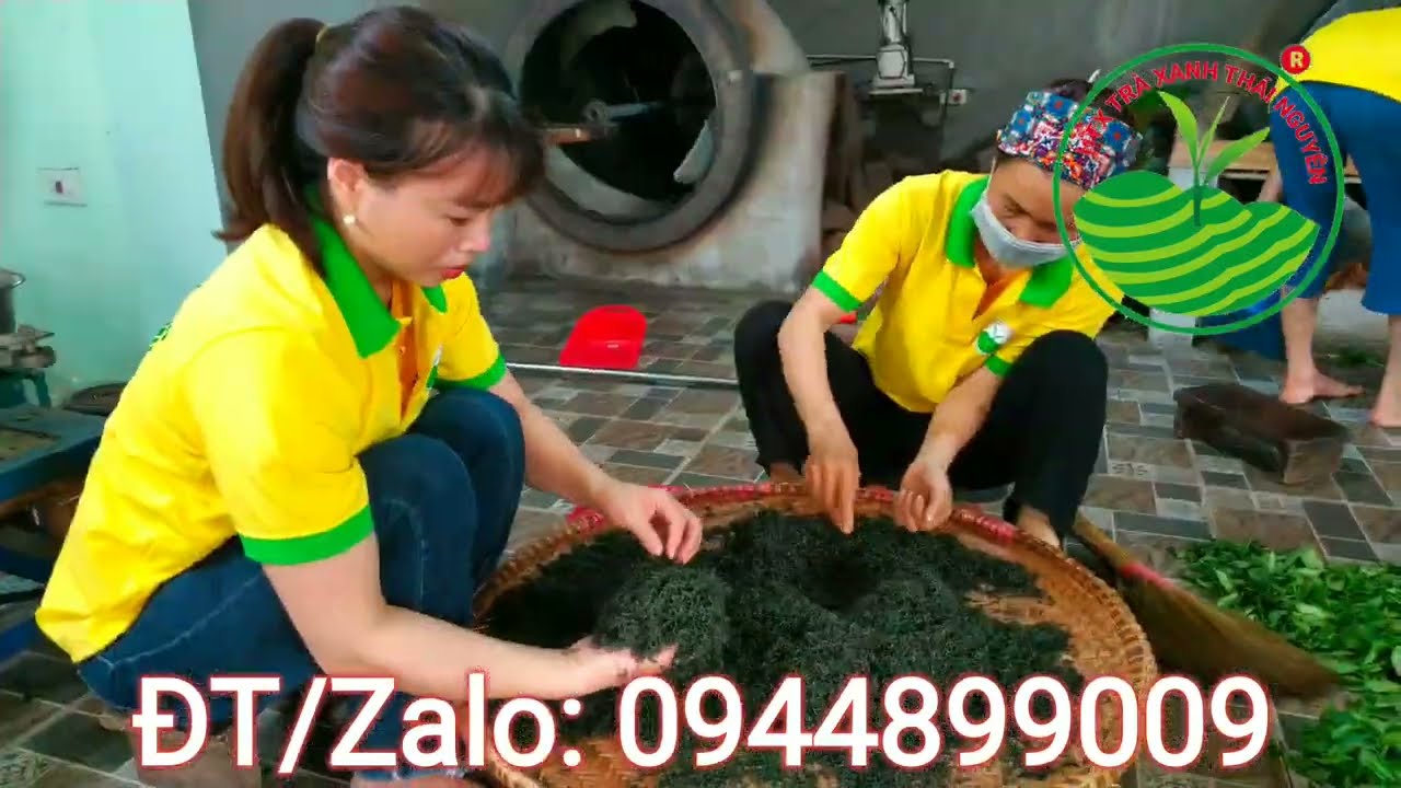 Top 10 Địa Chỉ Mua Trà Thái Nguyên Ngon Chính Gốc Năm 2023