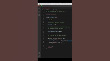 Pointer in C programming | Say 
