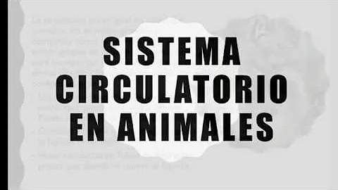 ¿Cuál es el sistema circulatorio de los vertebrados?