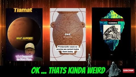 weird web wonders 448