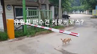 실미해수욕장 영상