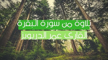 كان الناس أمة واحدة | تلاوة من سورة البقرة | القارئ عمر الدريويز