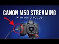 Canon M50 Live Streaming with Auto Focus!