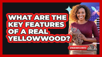 What Are The Key Features Of A Real Yellowwood?