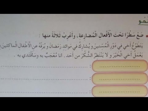 حل الصفحة 13 من كتاب النشاطات لغة عربية السنة الرابعة ابتدائي