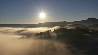 Unlock Your Inner Peace: The Ultimate Meditation Music for Instant Serenity!