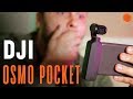 DJI Osmo Pocket: как снимает и для кого подойдет? | Обзор миникамеры | COMFY