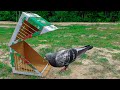 DIY Cardboard Pigeon Bird Trap with Cardboard Box