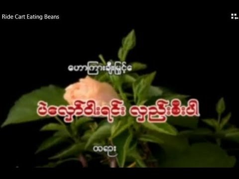 Sayadaw Sayadaw