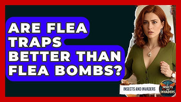 Are Flea Traps Better Than Flea Bombs? - Insects and Invaders