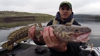 Fishing for Burbot in Washington