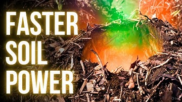 The Secret Compost Layer Gardeners Never Use — But It Triples Decomposition Speed!