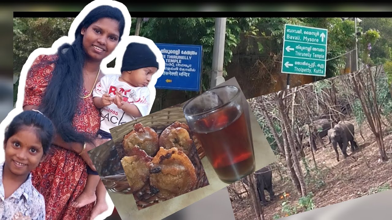 വീട്ടില്‍നിന്നും വരുന്നവഴി കുട്ടേട്ടന്റെ അപ്പപീടികയില്‍ പോയി#youtubevideo#ARVIchus family