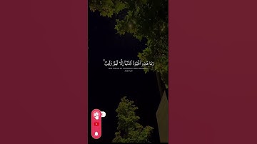 #قران_كريم_راحه_نفسيه #المصحف #قرآن_كريم_راحة_نفسية_ارح_سمعك_وقلبك #قران_كريم #baby #تلاوة_خاشعة