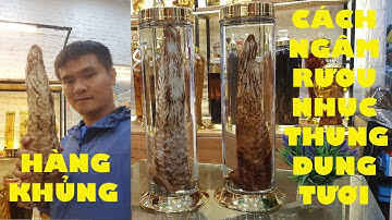 CÁCH NGÂM RƯỢU NHỤC THUNG DUNG TƯƠI CHUẨN TẠI NHÀ