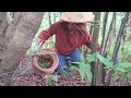 Making sweet and sour pork ribs with bayberry|壹顆山楊梅，糖醋都有，用它來做糖醋排骨是不是很合適呢【乡野莲姐】@4K