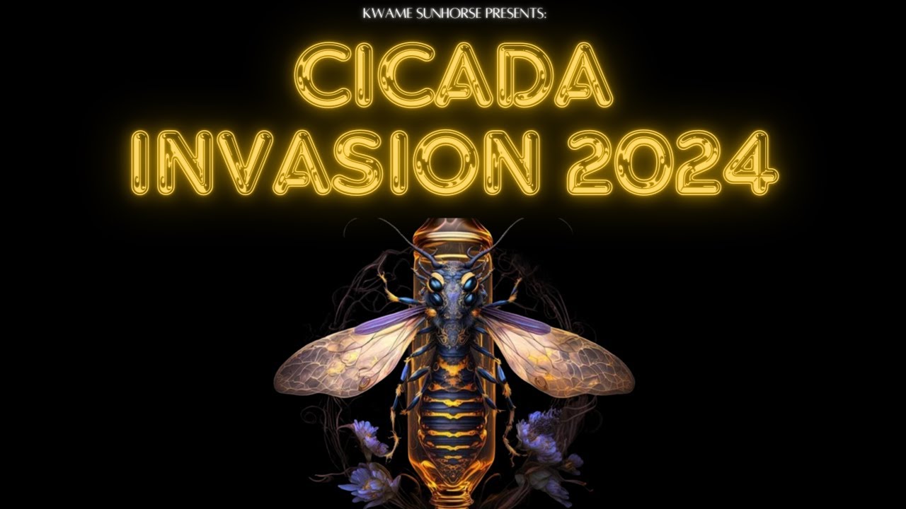 Kwame Sunhorse Cicada Invasion 2024 YouTube