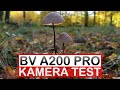 Blackview A200 Pro Kamera Test: &quot;Billigheimer&quot; mit Top-Kamera?