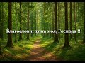 Благослови, душа моя, Господа!!! Псалом 102#gospelmusic #christianmusic