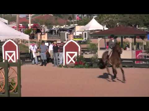 Video of CADEAUX riden by SHERRI CRAWFORD from Sho...