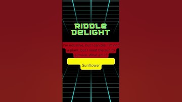 "Puzzle Quest: A Journey into Brainteasers