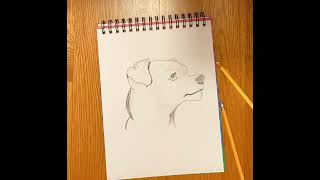 Sarah Rodrigues, Art And Music Portfolio