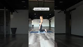 Somatic Cues vs. Alignment Cue - Camel Pose