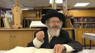 הרב ברנר-פר' נח, תאמין שאתה יכול