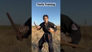 Tonfa Training Under The Blue Sky | Ryukyu Kobudo, Okinawa Kobudo #shorts #トンファー #琉球古武道