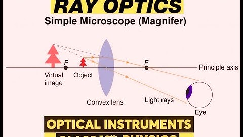 REFLECTION; REFRACTION; OPTICAL INSTRUMENT; LINEAR MAGNIFICATION; EQUICONVEX LENS;  CONVEX MIRROR-2;