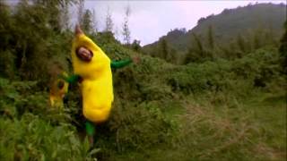 Wildboyz French Banana Suit Song?
