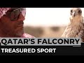 World cup notwithstanding falconry is one of qatars treasured sports