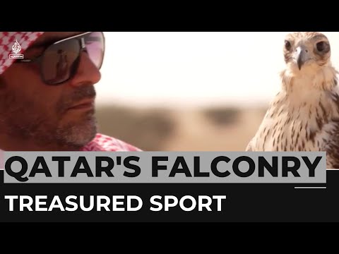 World Cup notwithstanding, falconry is one of Qatar's treasured sports