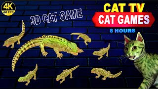 3D game for cats | CATCH THE LIZARD! ENTERTAINMENT VIDEO FOR CATS TO WATCH | CAT & DOG TV.