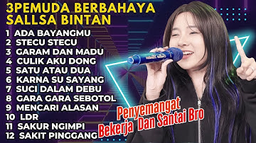 LAGU SKA REGGAE TEMAN BEKERJA DAN FOKUS | SALLSA BINTAN FT 3PEMUDA BERBAHAYA | ADA BAYANGMU FULL