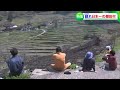 棚田の稲のオーナーになれる権利を”ふるさと納税”返礼品に【岡山・美作市】