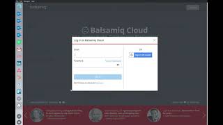 Balsamiq screenshot 5
