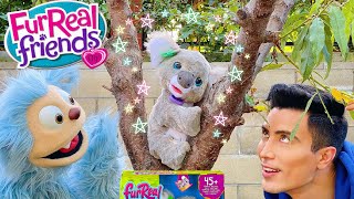 Unbox | New FurReal Koala Kristy Pet | New Hasbro Interactive Toy Unboxing