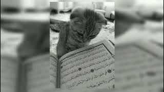 yaquluban (speed up) | abdullah al sinani | slow nasheeds