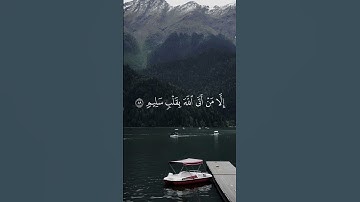 القرآن الكريم #اكسبلور #المصحف #relaxing #راحة_نفسية #الرحمن #قرآن_كريم #لايك #quran #share #الله
