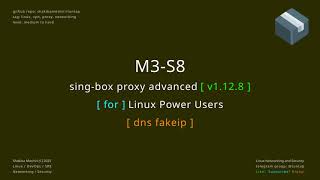singbox proxy advanced M3 S8 dns  fakeip